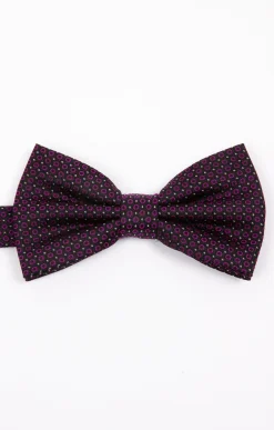Cravates<Armand Thiery NOUED PAPILLON BIGEYE - Violet