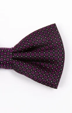 Cravates<Armand Thiery NOUED PAPILLON BIGEYE - Violet
